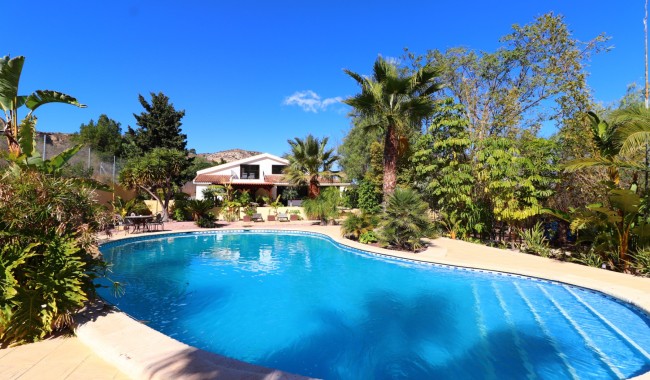 Finca - Begagnad - Aspe - Aspe - Country