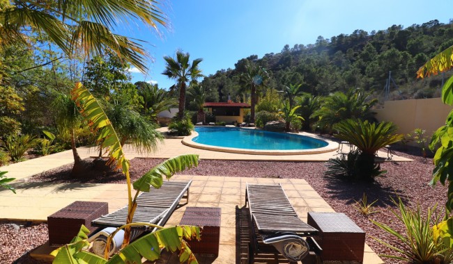 Segunda mano - Finca - Aspe - Aspe - Country