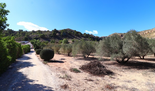 Segunda mano - Finca - Aspe - Aspe - Country