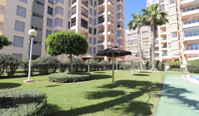 Begagnad - Lägenhet - Guardamar - Guardamar del Segura - Town