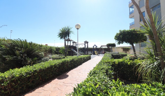 Begagnad - Lägenhet - Guardamar - Guardamar del Segura - Town