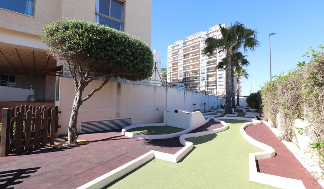 Begagnad - Lägenhet - Guardamar - Guardamar del Segura - Town