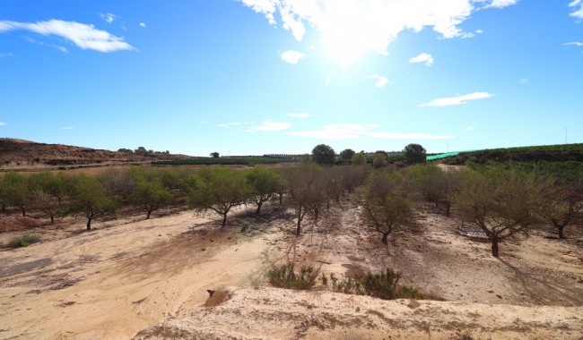 Segunda mano - Parcela - Torremendo - Torremendo - Country