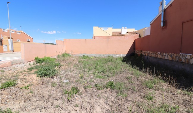 Sprzedaż - Działka - Daya Nueva