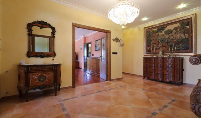 Segunda mano - Finca - Orihuela - Callosa de Segura - Country