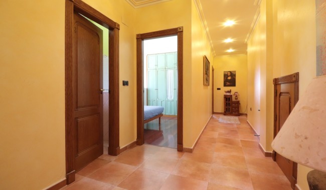 Segunda mano - Finca - Orihuela - Callosa de Segura - Country