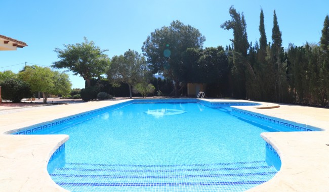 Segunda mano - Finca - Orihuela - Callosa de Segura - Country