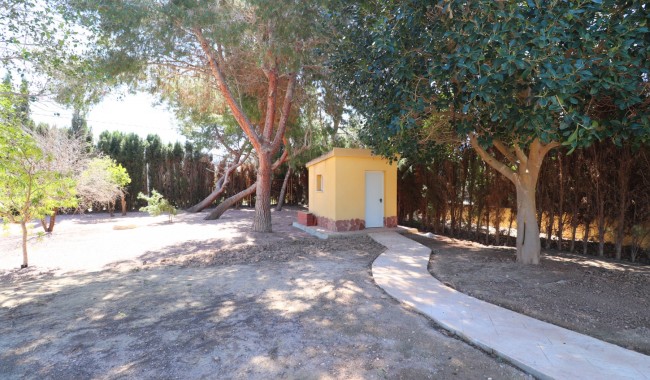 Segunda mano - Finca - Orihuela - Callosa de Segura - Country