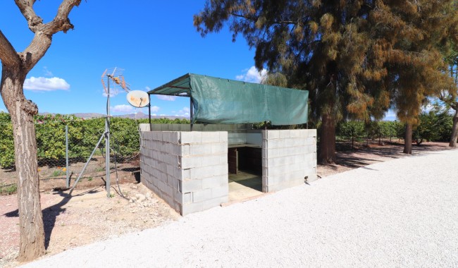 Segunda mano - Finca - Orihuela - Callosa de Segura - Country