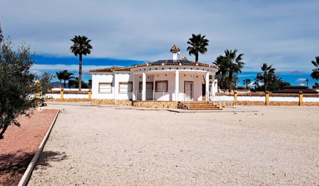 Finca - Begagnad - Catral - Catral - Country