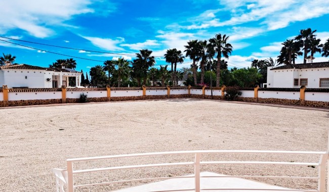 Segunda mano - Finca - Catral - Catral - Country