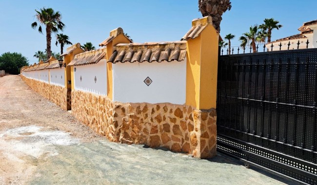 Begagnad - Finca - Catral - Catral - Country