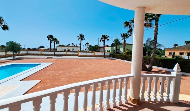 Begagnad - Finca - Catral - Catral - Country