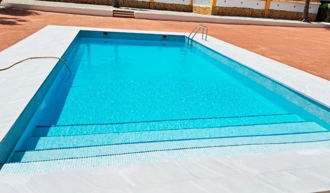 Begagnad - Finca - Catral - Catral - Country