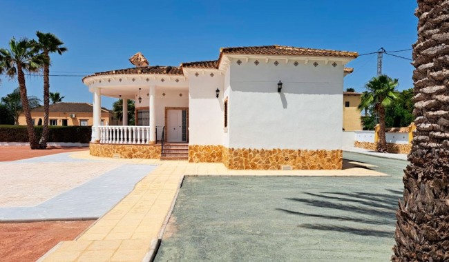 Begagnad - Finca - Catral - Catral - Country