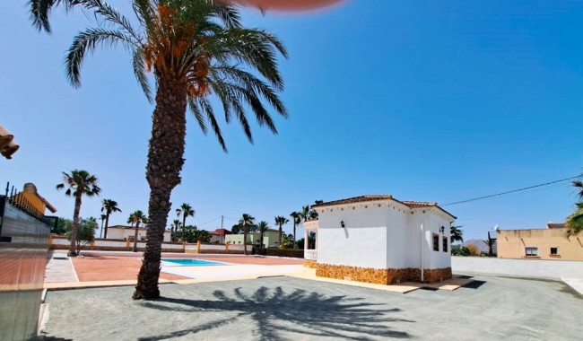 Begagnad - Finca - Catral - Catral - Country