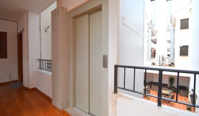 Begagnad - Lägenhet - Orihuela - Villamartín