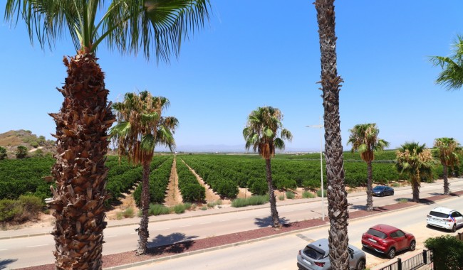 Brukt - Vertikaldelt - Algorfa - La Finca golf