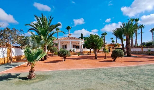 Finca - Begagnad - Catral - Catral - Country