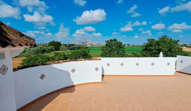 Brukt - Finca - Catral - Catral - Country