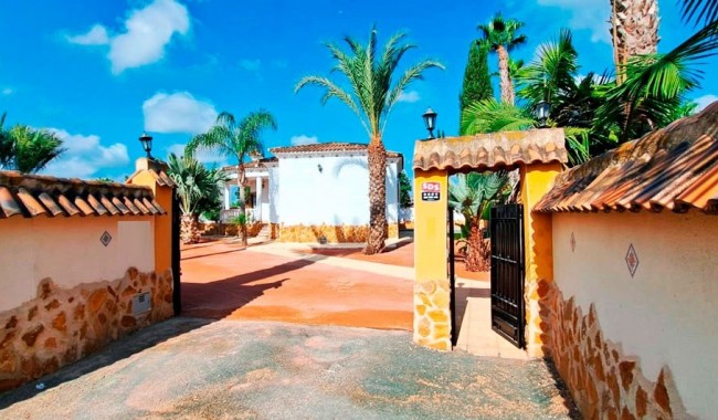 Brukt - Finca - Catral - Catral - Country