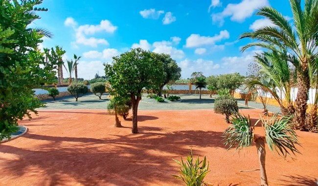 Brukt - Finca - Catral - Catral - Country