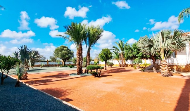 Brukt - Finca - Catral - Catral - Country