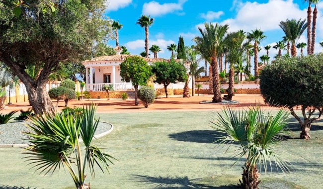 Brukt - Finca - Catral - Catral - Country