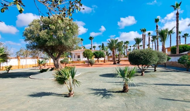 Brukt - Finca - Catral - Catral - Country