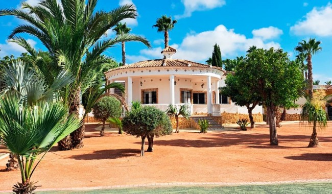 Brukt - Finca - Catral - Catral - Country