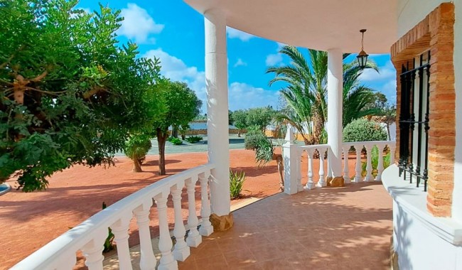 Brukt - Finca - Catral - Catral - Country