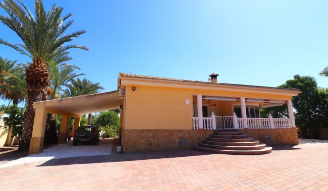 Brukt - Finca - Catral - Catral - Country