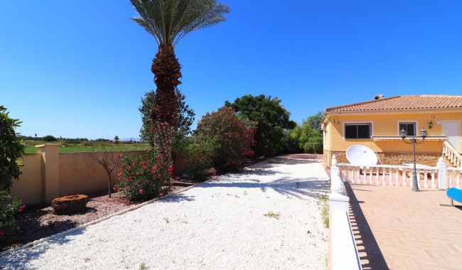 Brukt - Finca - Catral - Catral - Country