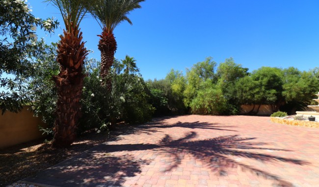 Brukt - Finca - Catral - Catral - Country