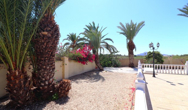 Brukt - Finca - Catral - Catral - Country