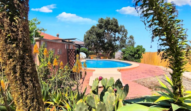 Segunda mano - Finca - Orihuela - Orihuela Costa