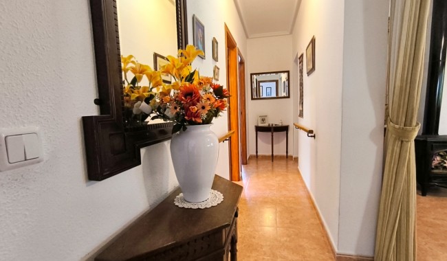 Segunda mano - Finca - Orihuela - Orihuela Costa