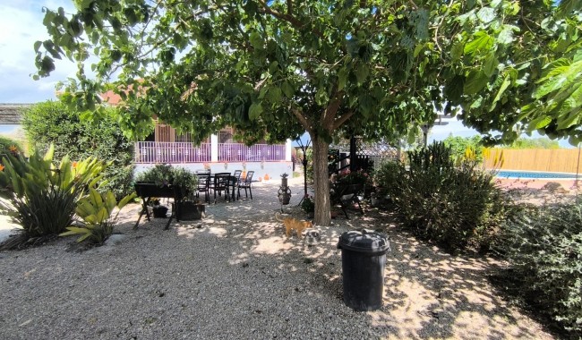 Segunda mano - Finca - Orihuela - Orihuela Costa