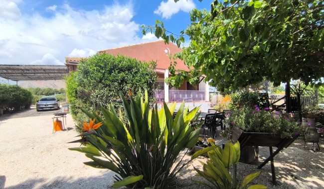 Segunda mano - Finca - Orihuela - Orihuela Costa