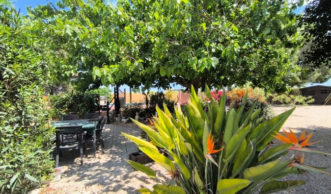 Segunda mano - Finca - Orihuela - Orihuela Costa