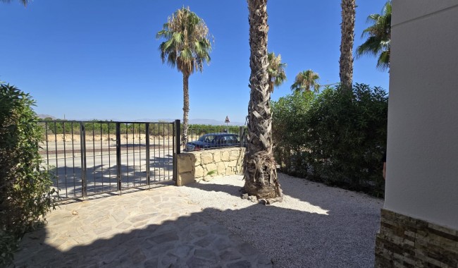 Begagnad - Vertikalt delad - Algorfa