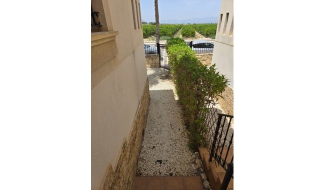 Segunda mano - Semi separado - Algorfa