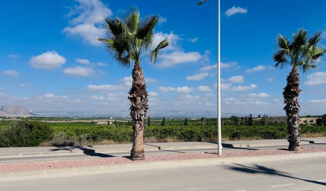 Brukt - Leilighet - Algorfa