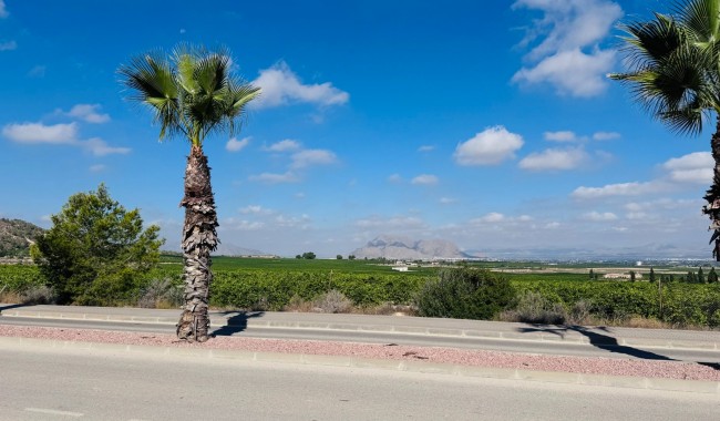 Brukt - Leilighet - Algorfa