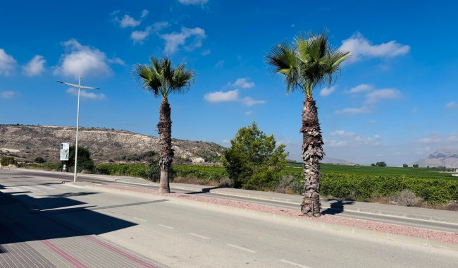 Brukt - Leilighet - Algorfa