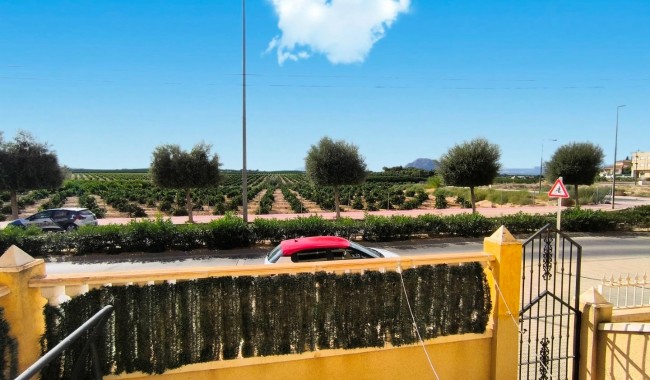 Begagnad - Lägenhet - Algorfa