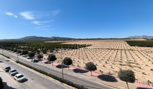 Begagnad - Lägenhet - Algorfa