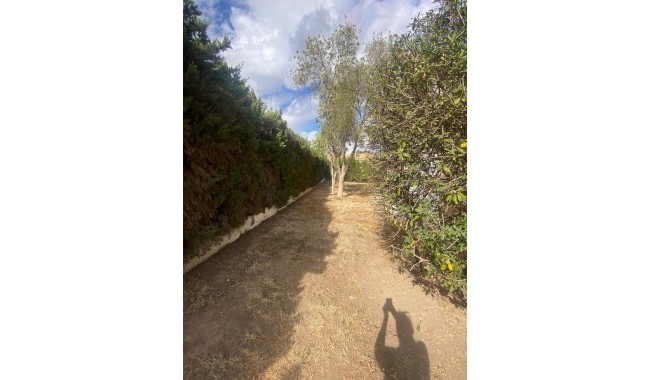 Brukt - Villa - Torrevieja - Los Balcones