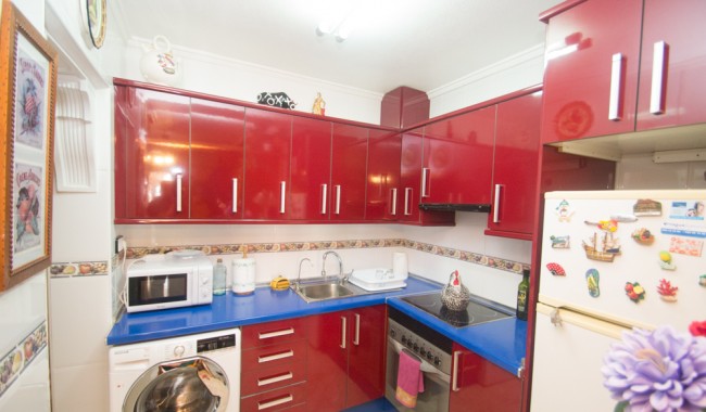 Segunda mano - Apartamento - Torrevieja - Los Altos