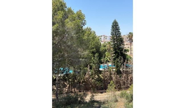 Segunda mano - Apartamento - Ciudad Quesada/Rojales - Lo Pepin